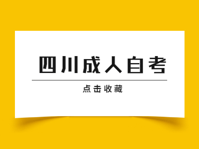 四川成人自考可以考教资吗？